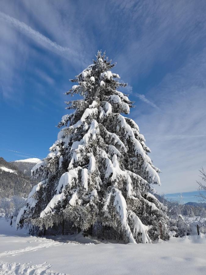 Gasthof Zur Schmiede แบร์ก อิม เดราทาล ภายนอก รูปภาพ